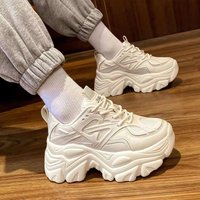 Breathable Dad Sneakers Trendy Ins Style 2025 Versatile Casual Thick Soled Mesh Sports Shoes