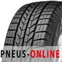Goodyear UltraGrip Cargo ( 205/75 R16C 113/111R 10PR EVR )