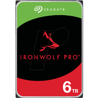 Seagate IronWolf 6TB