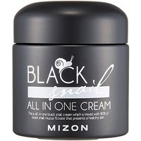 Mizon - Black Snail All in One Cream 75 ml - Anti Aging Face Cream For All Skin Types