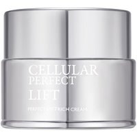 Swiss Perfection - Perfect Lift Rich Cream 50 ml - Lifting Face Cream For Dry Dehydrated Skin