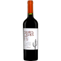 Antiyal Pura Fe Carmenere 2023 bottle