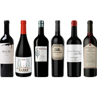 Argentinian Malbec Premium Tasting Case bottle