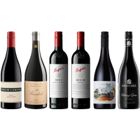 Australian Shiraz Premium Tasting Case bottle