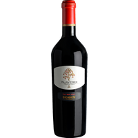 Badagoni Alaverdi Tradition Red 2020 bottle