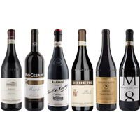 Barolo Premium Tasting Case bottle