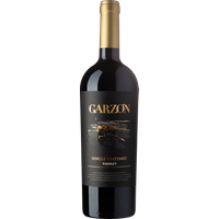 Bodega Garzon Single Vineyard Tannat 2022 bottle