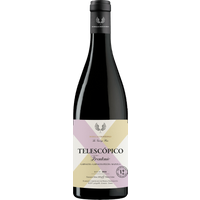 Bodegas Frontonio Telescopico Garnacha 2022 bottle