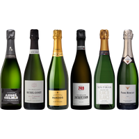Grower Champagne Premium Tasti - Wine review and price