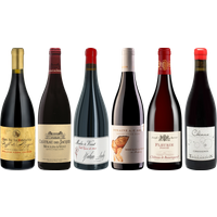 Beaujolais Premium Tasting Cas - Wine review and price