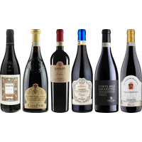 Amarone Premium Tasting Case - Wine review and price
