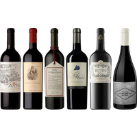 Argentinian Malbec Premium Tas - Wine review and price