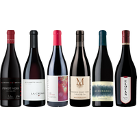 Oregon Pinot Noir Premium Tasting Case