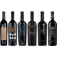 Primitivo Premium Tasting Case