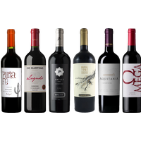 Carmenere Tasting Case bottle