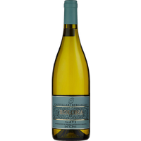 Castellari Bergaglio Rolona Gavi di Gavi 2024