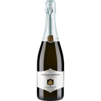 Castello Bonomi Franciacorta Blanc de Blanc Cuvee 22 bottle