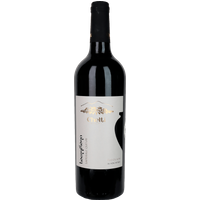 Chelti Saperavi Qvevri 2020 bottle