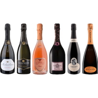Franciacorta Premium Tasting Case bottle