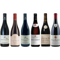 Gevrey Chambertin Tasting Case bottle