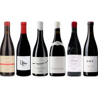 Mencia Premium Tasting Case bottle