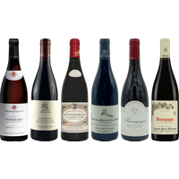 Red Burgundy Tasting Case bottle