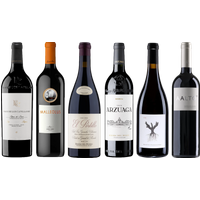 Ribera del Duero Premium Tasting Case bottle