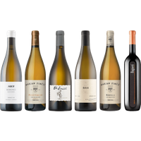 Slovenian White Wine Premium Tasting Case bottle