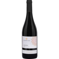 Tinazzi Duca delle Corone Aglianico 2022 bottle