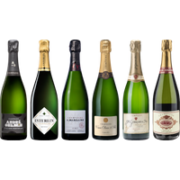 Top Value Champagne Tasting Case