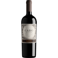 Vina San Pedro Cabo de Hornos Special Reserve 2021 bottle