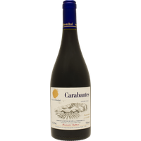 Vina von Siebenthal Carabantes Syrah 2022 bottle