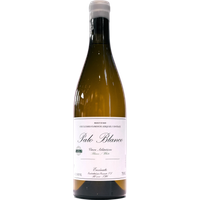Envinate Palo Blanco 2024