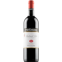 Pio Cesare Barbera d'Alba 2022