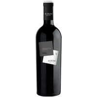 Scriani Valpolicella Ripasso Classico Superiore 2023