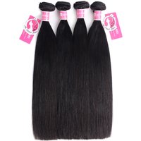Alipearl Malaysian Virgin Hair Straight 4 Bundles
