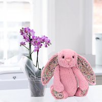 Mini Pink Orchid (20-25cm) & Jellycat ® Pink Blossom Bunny