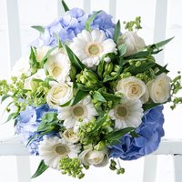 Forget Me Not