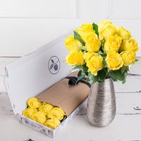 Letterbox 12 Yellow Roses image