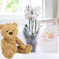 Gift Wrapped Mini White Orchid (20-25cm), Jellycat Bumbly Bear (Medium) & Hello Little One Card image