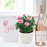 Pink Rose Plant in Pot, Whispering Angel & Baby Girl Card image