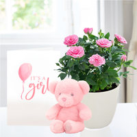 Pink Rose Plant in Pot, Pink Bunny & Baby Girl Card image