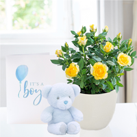 Yellow Rose Plant in Pot, Blue Bunny & Baby Boy Card image