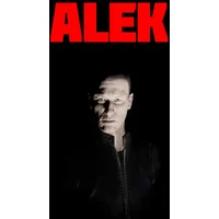 Buy ALEK PC Steam CD Key | Instant Delivery