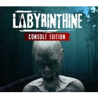 Buy Labyrinthine Console Edition EU PS5 CD Key | Instant De...
