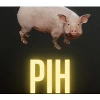 Buy Pih PC Steam CD Key | Instant Delivery