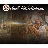 Buy Small Wars: Mohicans PC Steam CD Key | Instant Delivery