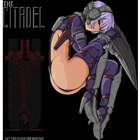 The Citadel EU PC Steam CD Key - Hardcore Shooter Game