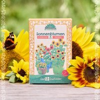 Die Stadtgärtner Saatgut-Set "Sonnenblumen" I Sonnenblumenen Samenmischung I Geschenk für Mama, Oma, Muttertagsgeschenk