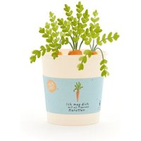 Die Stadtgärtner Möhren-Anzuchtset als Geschenk für Lieblingsmenschen | Nachhaltige Geschenkidee für Liebesbotschaften, Geburtstage & Dankeschön Die Stadtgärtner Möhren-Anzuchtset als Geschenk für Lieblingsmenschen | Nachhaltige Geschenkidee für Liebesbotschaften, Geburtstage & Dankeschön